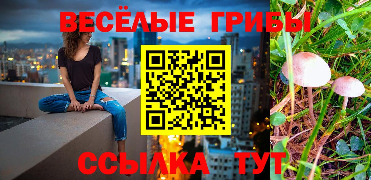 Галлюциногенные грибы Cubensis Воскресенск